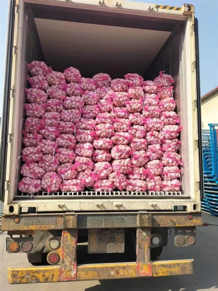 Garlic measctha deas